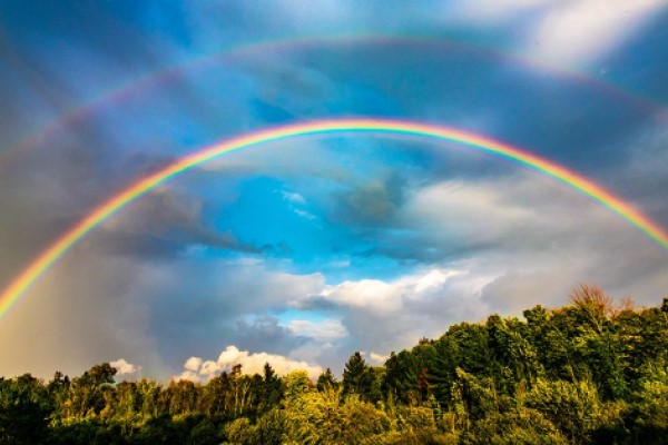 rainbow over the lake