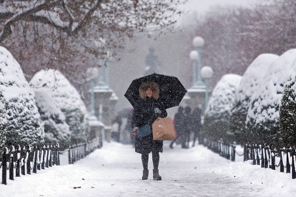 snow in the winter